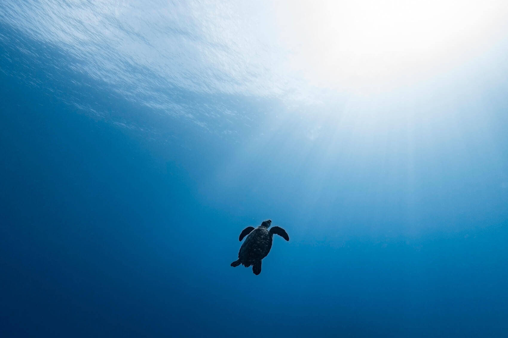 3. 平凡な人を養成し、非凡なる仕事の高みに導く